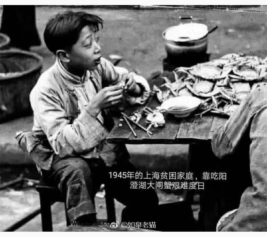 都在图中