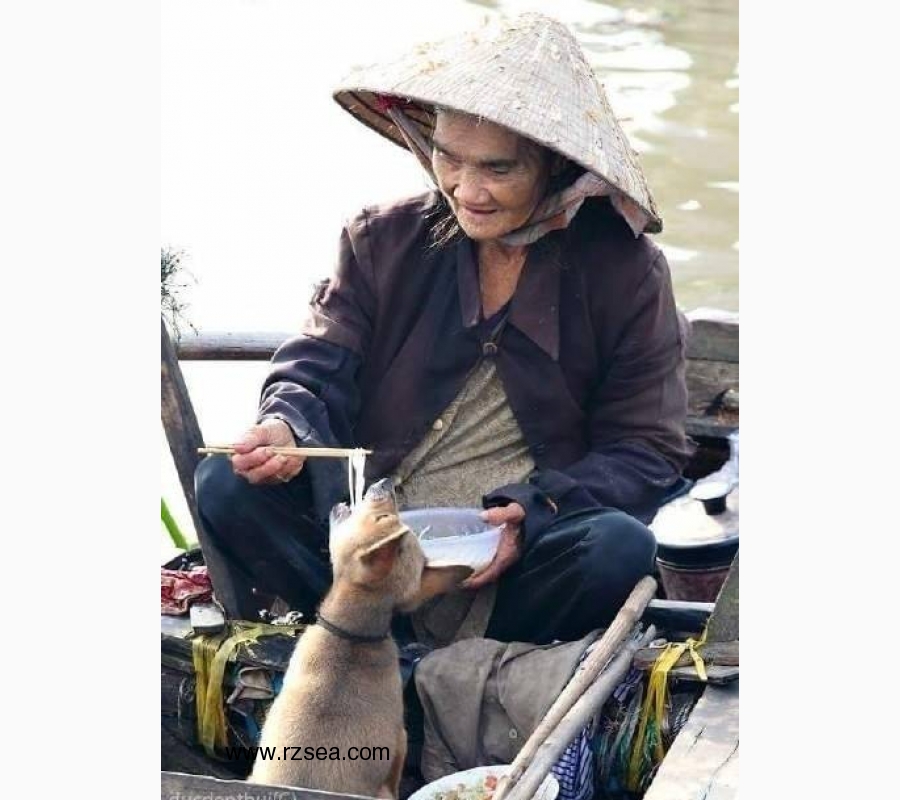 生而为人 务必善良