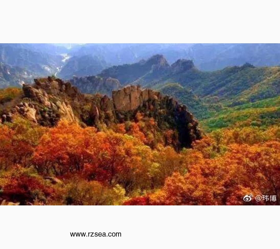 全面反驳为普洱茶站台的“专家”们