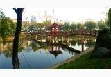 都来米